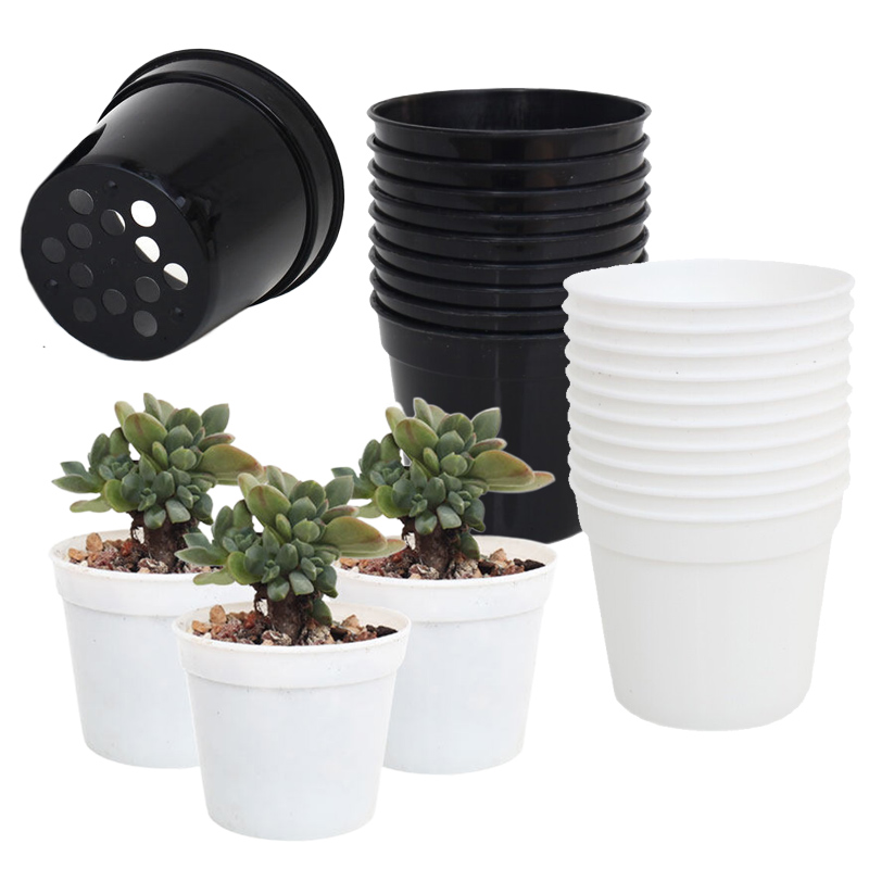Food Storage Plants - 10/20 adet Yuvarlak Plastik Saksı Mini