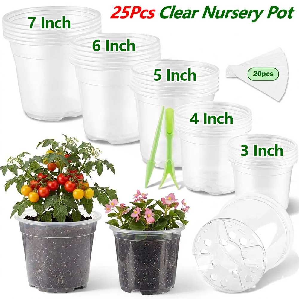 Food Storage Plants - 25 Adet 3/4/5/6/7 İnç Şeffaf Fidanlık