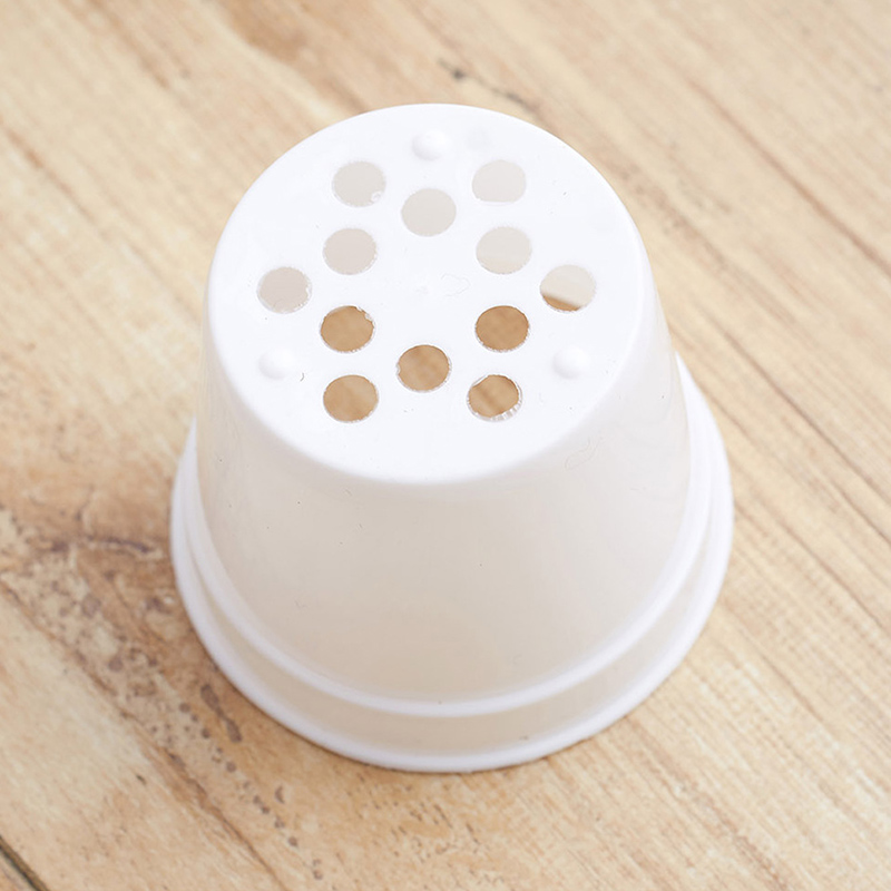 10/20 adet Yuvarlak Plastik Sa - Food Storage Plants incelemesi ve fiyatı