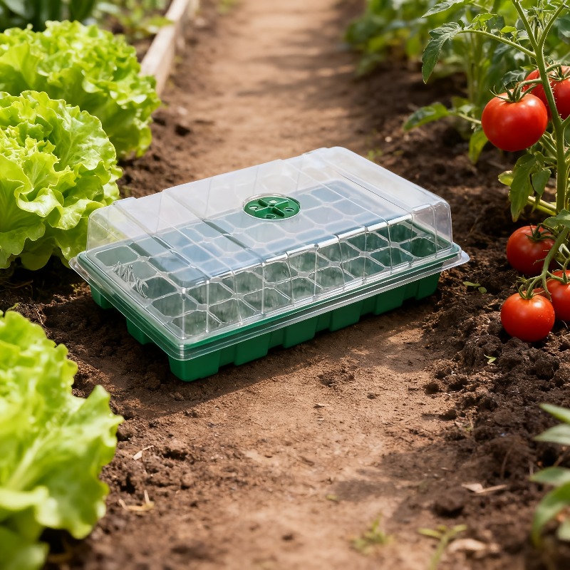 1/5 Parçalı Fide Tepsisi Seti  - Food Storage Plants incelemesi ve fiyatı