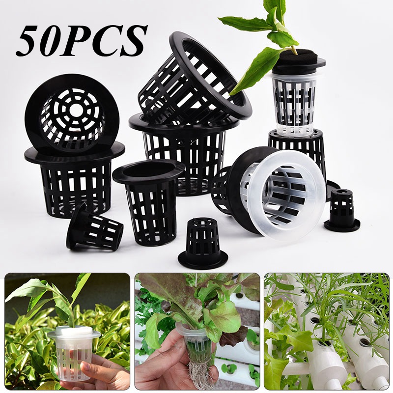 50 Adet Siyah Beyaz Topraksız  - Food Storage Plants incelemesi ve fiyatı
