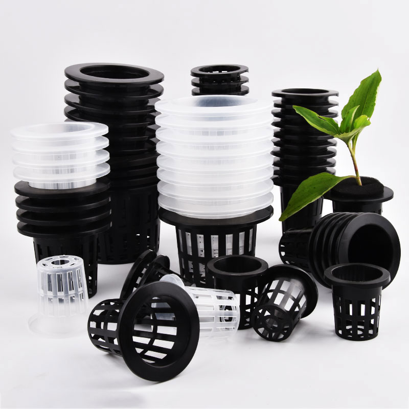50 Adet Siyah Beyaz Topraksız  - Food Storage Plants incelemesi ve fiyatı