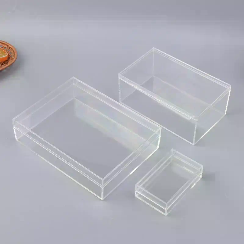 Yeni Kalınlaştırılmış Dikdörtg - Food Storage In Plants incelemesi ve fiyatı