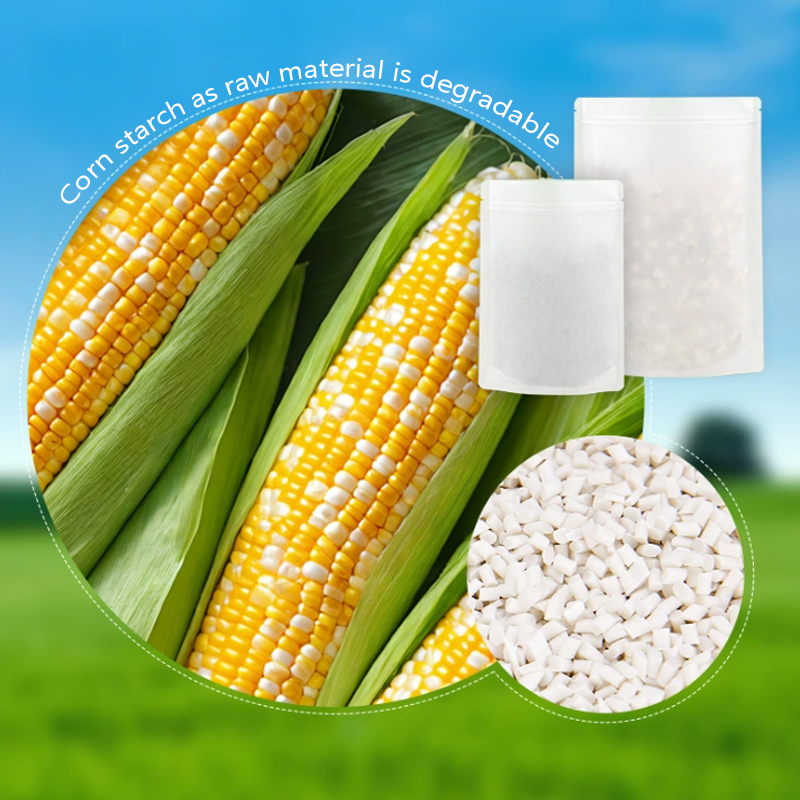 Özelleştirilmiş Biyobozunur Kr - Food Storage In Plants incelemesi ve fiyatı