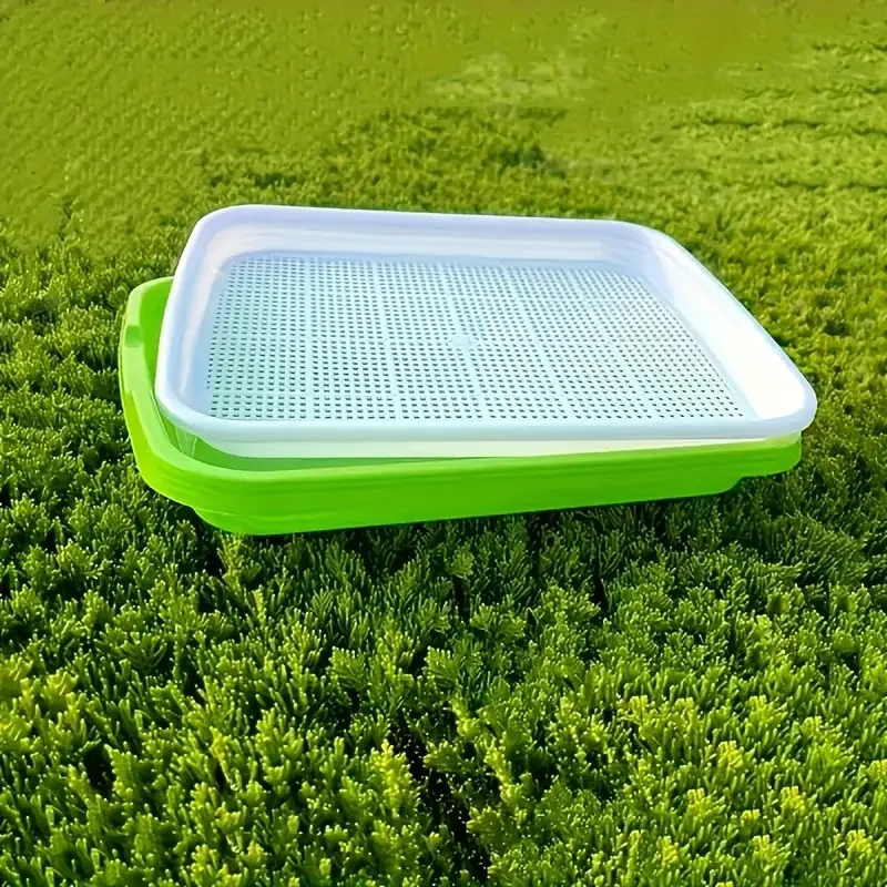 2026 yeni model ev tipi toprak - Food Storage Plants incelemesi ve fiyatı
